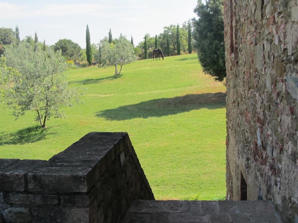 Podere Campovecchio Rapale Værelse billede