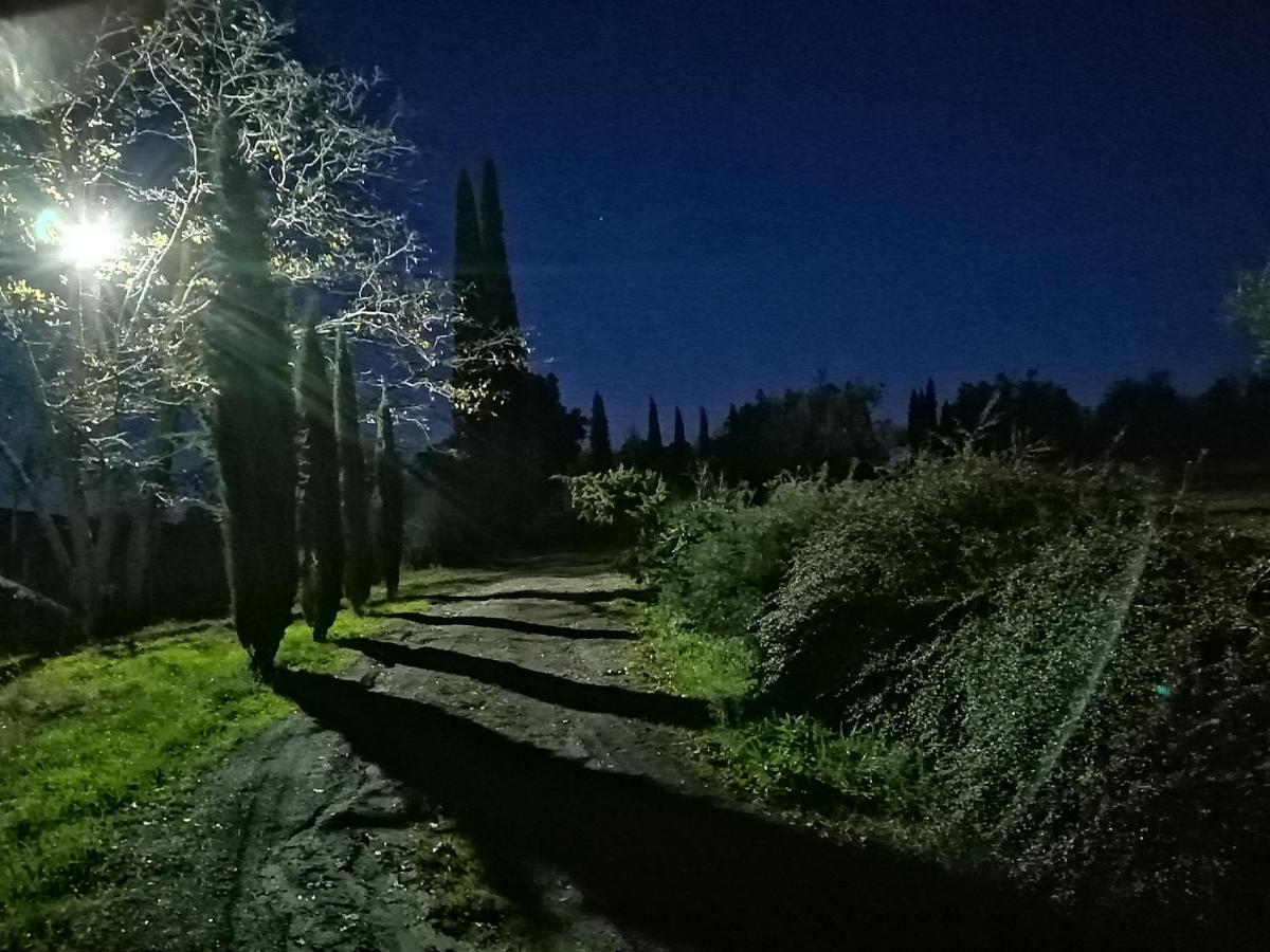 Podere Campovecchio Rapale Eksteriør billede