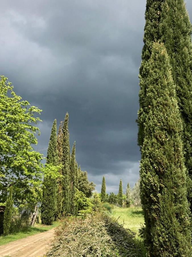 Podere Campovecchio Rapale Eksteriør billede